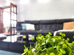 Blk 427 Bukit Panjang Ring Road (Bukit Panjang), HDB 5 Rooms #544675641